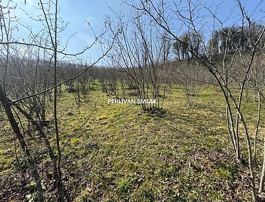 Hayalinizdeki Eve Bizimle Ula��n