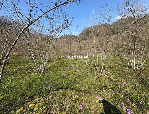 Hayalinizdeki Eve Bizimle Ula��n