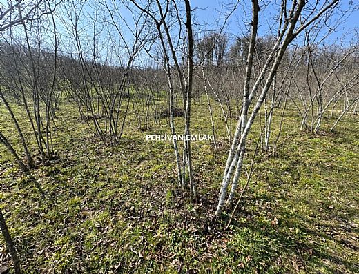 Hayalinizdeki Eve Bizimle Ula��n