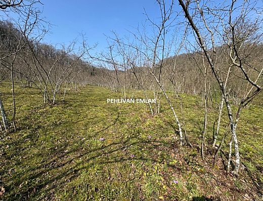 Hayalinizdeki Eve Bizimle Ula��n