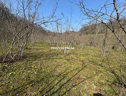 Hayalinizdeki Eve Bizimle Ula��n