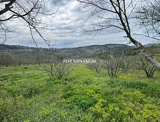 Hayalinizdeki Eve Bizimle Ula��n