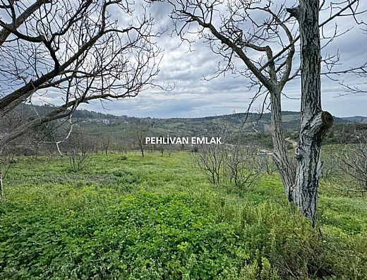 Hayalinizdeki Eve Bizimle Ula��n