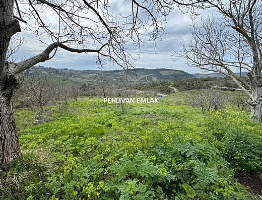 Hayalinizdeki Eve Bizimle Ula��n