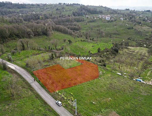 Alapl� Sat�l�k Daire - Alapl� Kiral�k Daire | Pehlivan Emlak