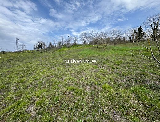 Hayalinizdeki Eve Bizimle Ula��n