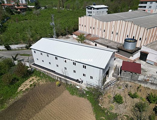 Alapl� Sat�l�k Daire - Alapl� Kiral�k Daire | Pehlivan Emlak